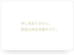 画像準備中